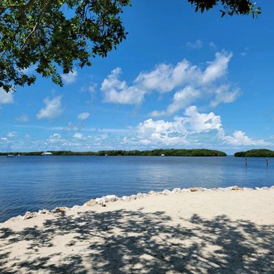 Coconut Palm Inn by null