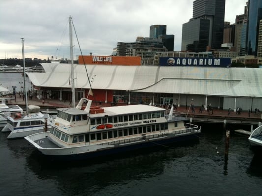 SEA LIFE Sydney Aquarium by null