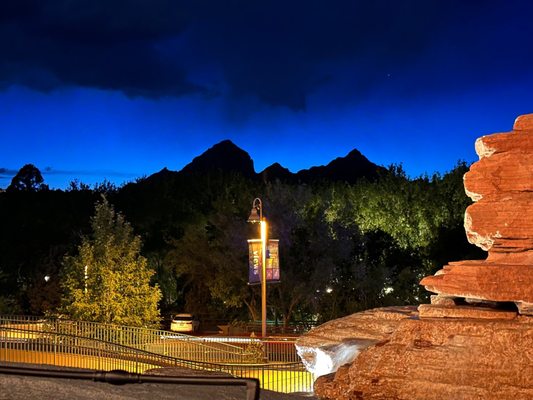Javelina Cantina by null