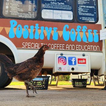Positive Coffee - Coffee & Tea Near Me - Kapaa, Hawaii Positive Coffee - Coffee & Tea Near Me - Kapaa, Hawaii