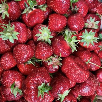 Larriland Farm - Strawberries - Fruits & Veggies Near Me - Woodbine, Maryland