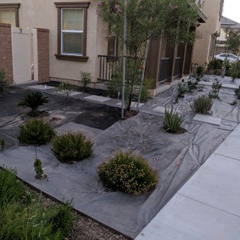 All Professional Landscape - Front yard with barrier - Irrigation Near Me All Professional Landscape - Front yard with barrier - Irrigation Near Me