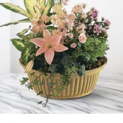 Bouquets Of Pearl