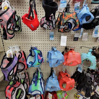 Pets Plus - Pet Stores Near Me - San Juan Capistrano, California Pets Plus - Pet Stores Near Me - San Juan Capistrano, California