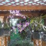 Photo of Creative Landscaping of SWFL