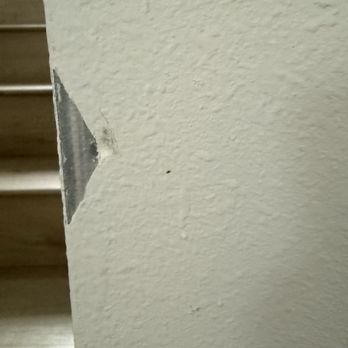 Sebastian Moving And More - Wall was damaged from the movers (but was fixed by them after) - Movers Near Me - Apopka, Florida