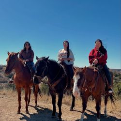 Cowgirls And Cowboys