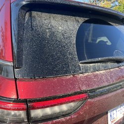 Avis Rent A Car - Wasn't cleaned at all.