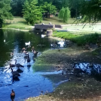 Weed Park - Geese & bridge - Parks Near Me Weed Park - Geese & bridge - Parks Near Me