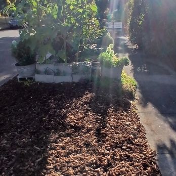 Tino Touch Lawn Care - Lawn Services Near Me Tino Touch Lawn Care - Lawn Services Near Me