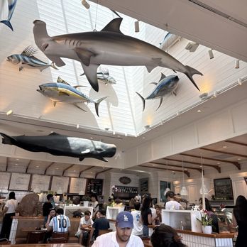 Bear Flag Fish - Seafood Markets Near Me - Newport Beach, California Bear Flag Fish - Seafood Markets Near Me - Newport Beach, California