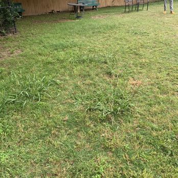 Southern Oaks - Dog park being disregarded. - Apartments Near Me - Fort Worth, Texas Southern Oaks - Dog park being disregarded. - Apartments Near Me - Fort Worth, Texas