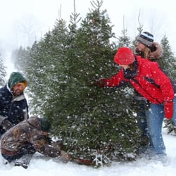 Country Christmas Tree Farm and Gifts