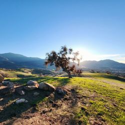 Clayton Valley Bowl