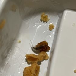 Raising Cane's Chicken Fingers - Bug