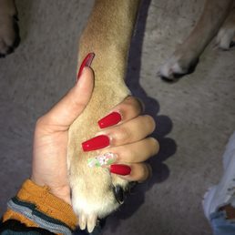 My beautiful acrylics
