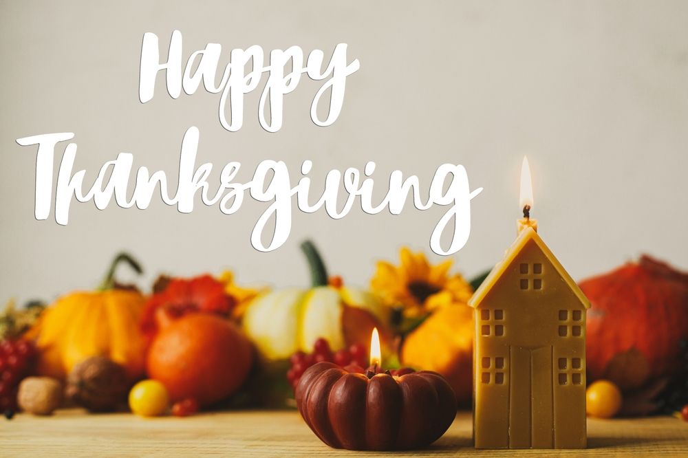 Lions Tree & Landscaping - tree service in Middletown, OH