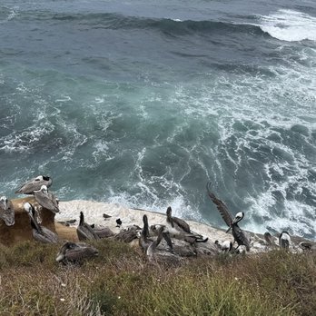 La Jolla Cove - Parks Near Me - La Jolla, California