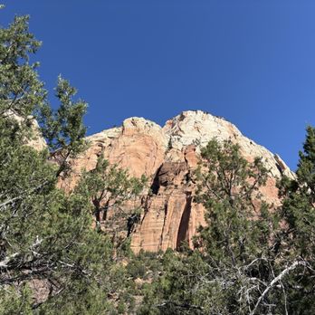 Canyon Trail Rides - So much to see! - Horseback Riding Near Me - Springdale, Utah Canyon Trail Rides - So much to see! - Horseback Riding Near Me - Springdale, Utah