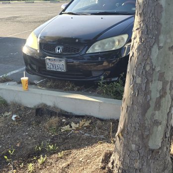 El Pollo Loco - My only issue is with this worker littering in the parking lot - Mexican Near Me - Hayward, California El Pollo Loco - My only issue is with this worker littering in the parking lot - Mexican Near Me - Hayward, California