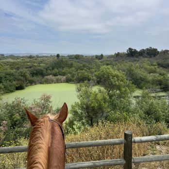 Surfside Ranch - Horseback Riding Near Me - San Diego, California