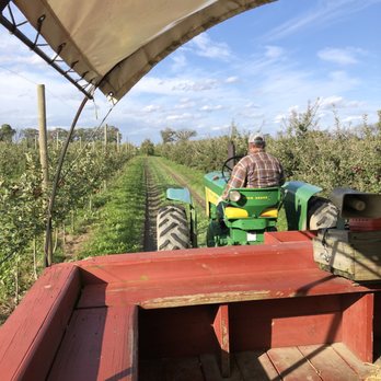Royal Oak Farm Orchard - Tractor ride to orchards. - Fruits & Veggies Near Me - Harvard, Illinois