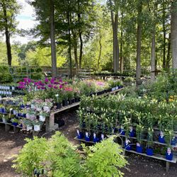 Seneca Greenhouse