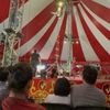 Venardos Circus gift card