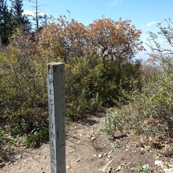 Sandia Mountains - Pino and crest trails intersection - Hiking Near Me - Albuquerque, New Mexico