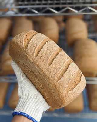 Native Bread by null