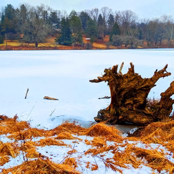 Welkinweir - Welkinweir Estate -- fox tracks across the frozen pond - Parks Near Me - Pottstown, Pennsylvania