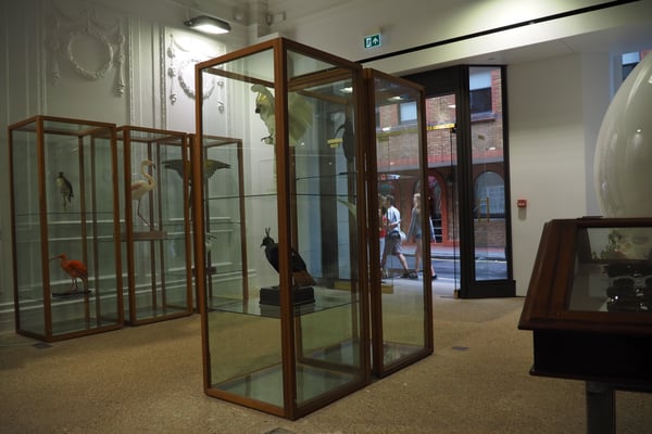 Dover Street Market by null