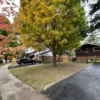 Marvin Gardens - This tree had many branches hanging downwards. I was able to reach and prune the branches up to 25 ft. - Gardeners Near Me Marvin Gardens - This tree had many branches hanging downwards. I was able to reach and prune the branches up to 25 ft. - Gardeners Near Me