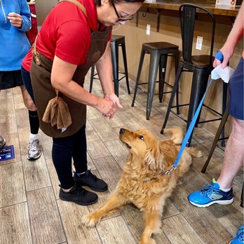 San Julian's Coffee - Pupper! - Coffee & Tea Near Me - Winter Park, Florida San Julian's Coffee - Pupper! - Coffee & Tea Near Me - Winter Park, Florida