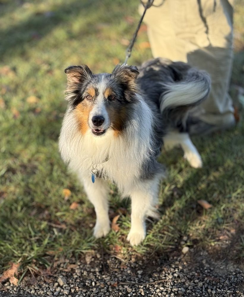 Sharon Woods Metro Park