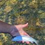 Photo of Trinity Fly Shop