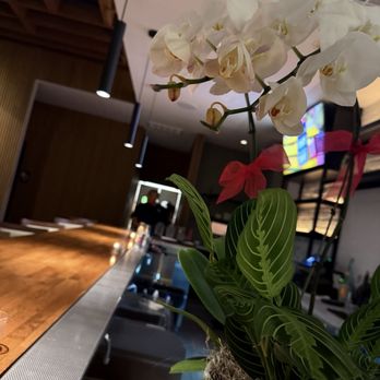 Caya - inside sake bar - Sushi Bars Near Me - Los Angeles, California Caya - inside sake bar - Sushi Bars Near Me - Los Angeles, California