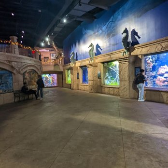 Long Island Aquarium - Kiddo hasld a blast - Aquariums Near Me - Riverhead, New York Long Island Aquarium - Kiddo hasld a blast - Aquariums Near Me - Riverhead, New York