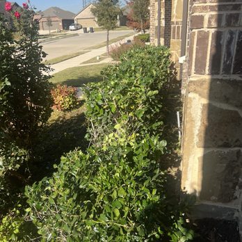 Rauls Lawn Care - Raul never fails!!! Always does an excellent job!!! - Lawn Services Near Me