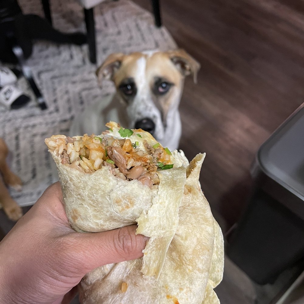 El Taco Llama - Asada burrito with the works. Ask for their salsa! - Mexican Near Me - Fillmore, California El Taco Llama - Asada burrito with the works. Ask for their salsa! - Mexican Near Me - Fillmore, California