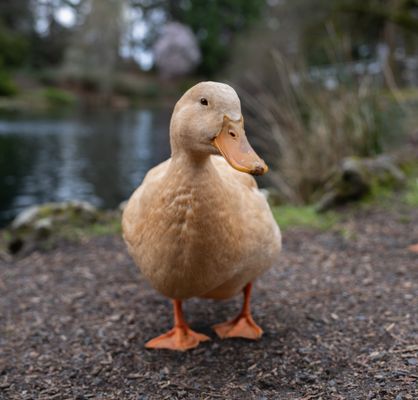 Fjällräven Portland