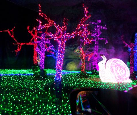 Lights Under Louisville by null