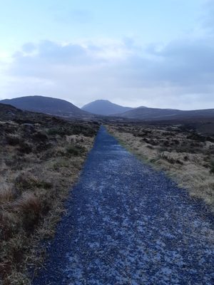 Diamond Hill by null