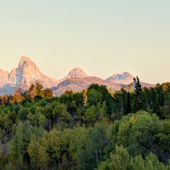 Teton Homestead - Property Management Near Me - Driggs, Idaho Teton Homestead - Property Management Near Me - Driggs, Idaho
