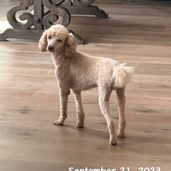 Petco - Pet Training Near Me - Stillwater, Oklahoma Petco - Pet Training Near Me - Stillwater, Oklahoma