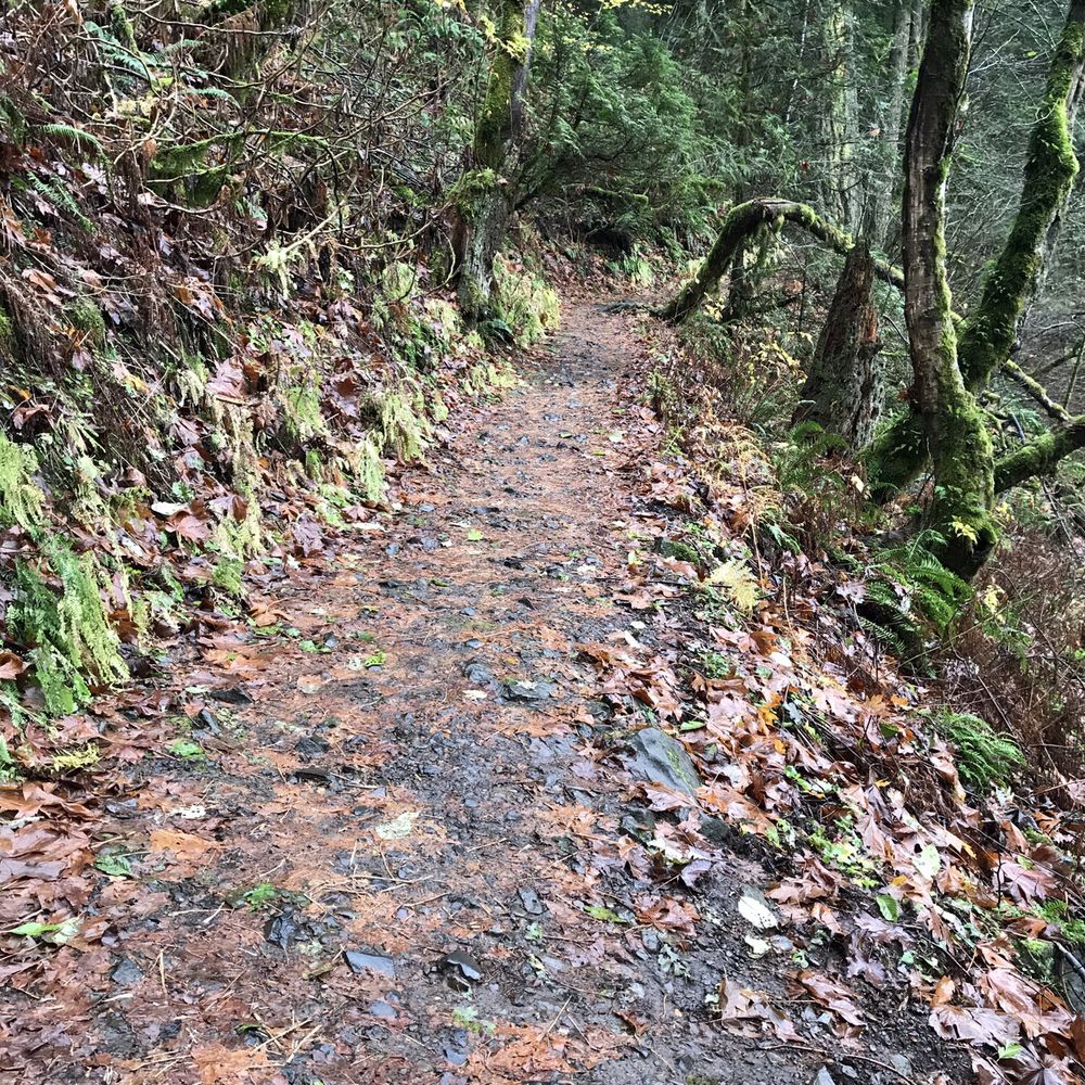 Guy W Talbot State Park - Going up - Parks Near Me - Corbett, Oregon