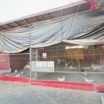 Blacksmith's Corner - Pet Stores Near Me - Bellflower, California Blacksmith's Corner - Pet Stores Near Me - Bellflower, California