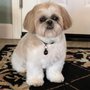Photo of Treats Natural Pet Marketplace