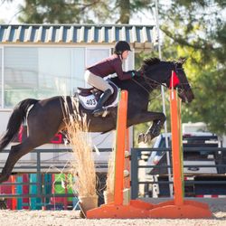 Highland Stable - Me and Leya competing at Murieta Equestrian Center in 1.00 meter Jumper class.