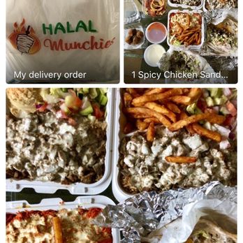 Halal Munchies - Yummy! Lamb Over Rice Platter, Spicy Chicken Sandwich, Lamb Gyro, Falafel Balls, Chicken Over Rice Platter, all paired up with Italian wine - Halal Near Me - Fresh Meadows, New York